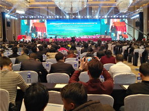 南昌会议策划公司如何建议会议主办方做好参会者的安排